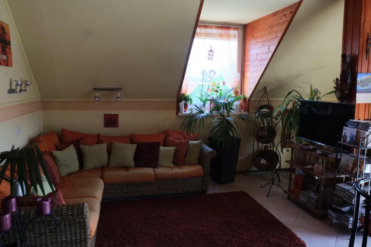 Arany Sziget Apartman 希欧福克 外观 照片