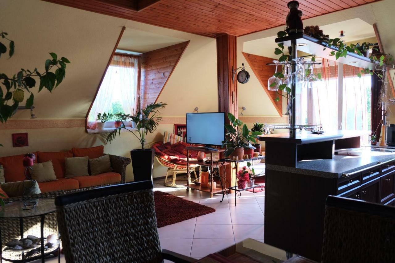 Arany Sziget Apartman 希欧福克 外观 照片
