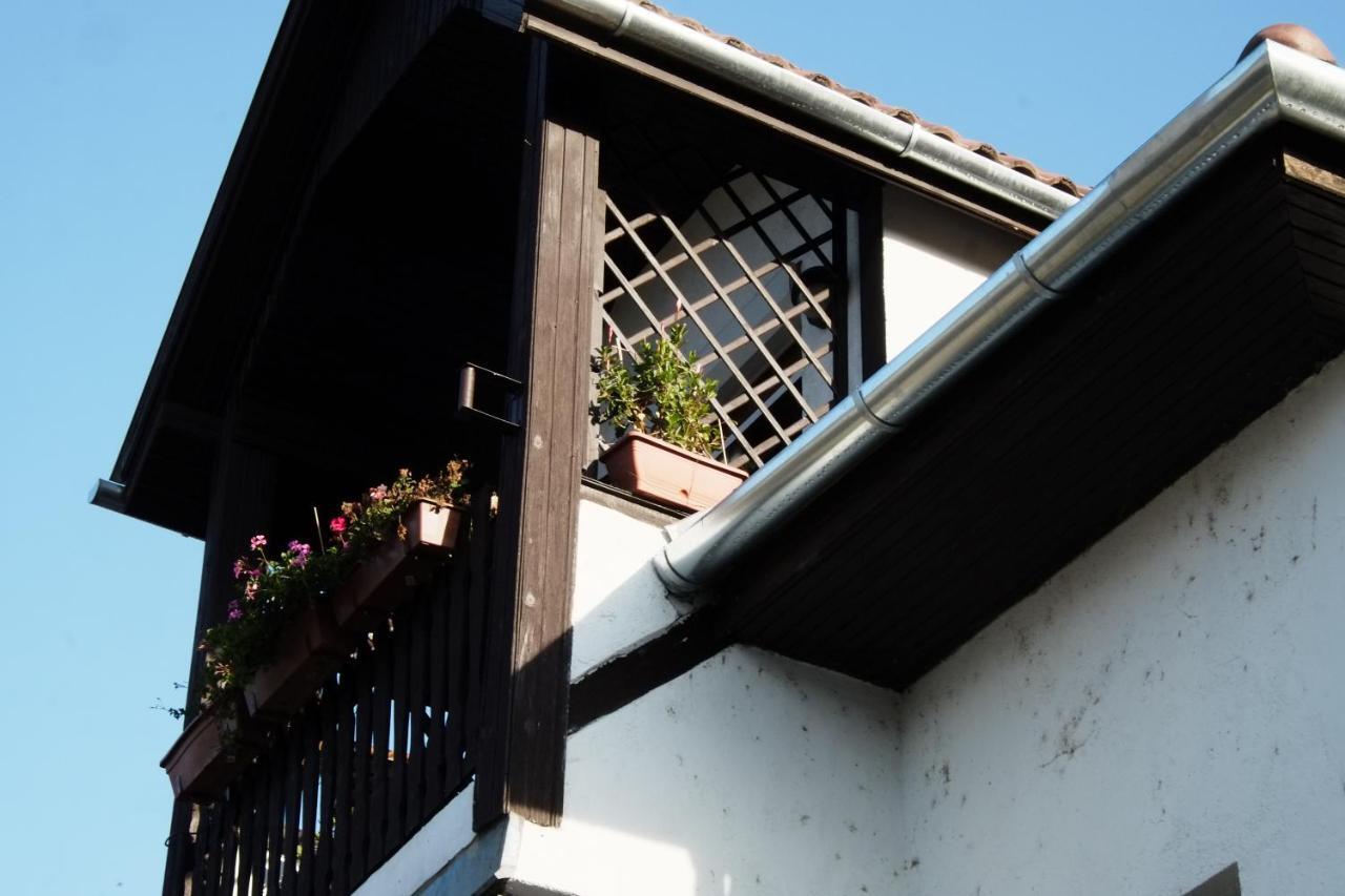 Arany Sziget Apartman 希欧福克 外观 照片
